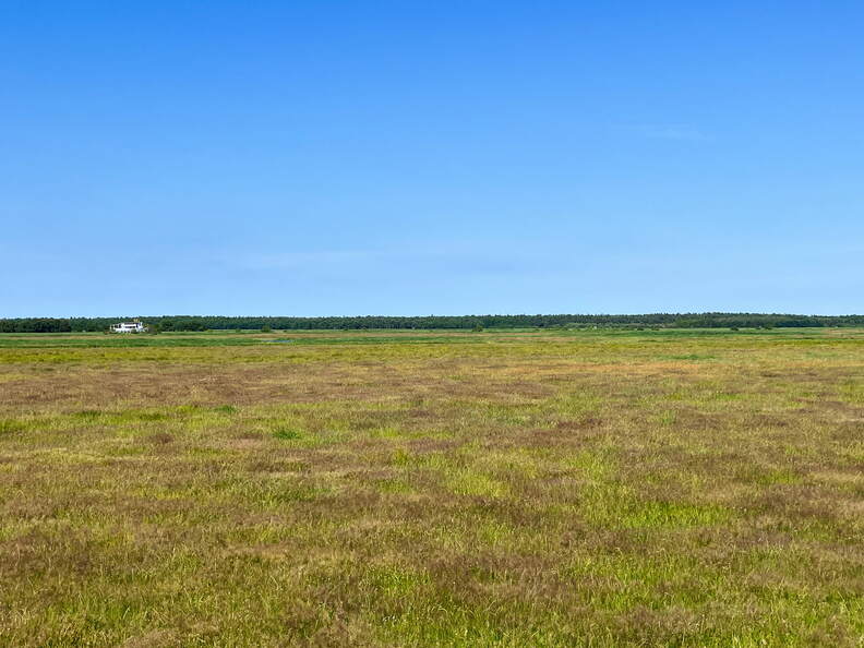 24-06-29 16-29-34 0018